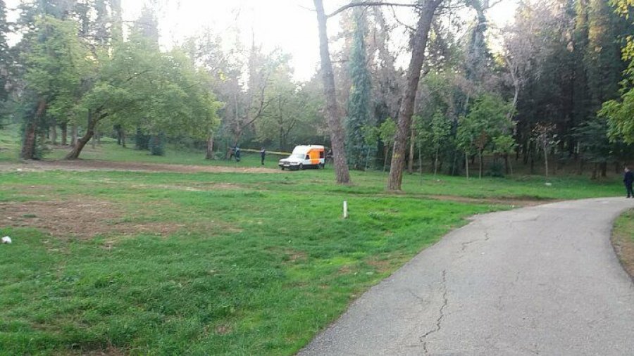 Një person gjendet i varur në pemë te Liqeni Artificial