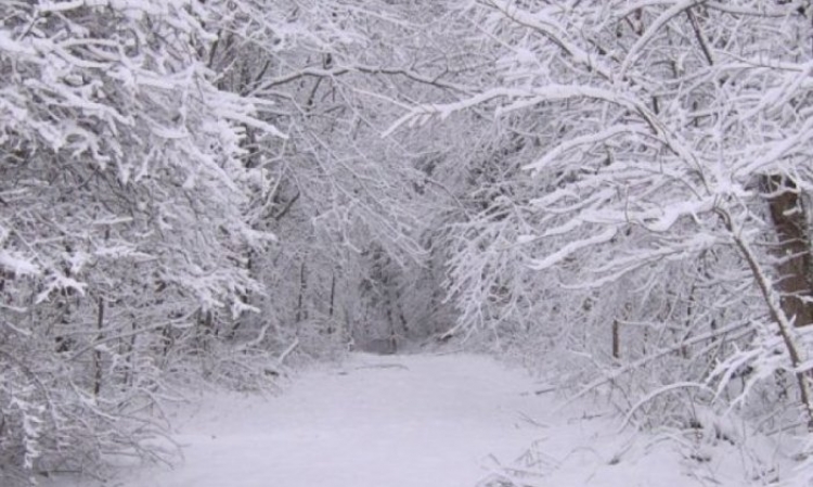 Të ngrohtit i erdhi fundi, në fundjavë fillon bora e parë!