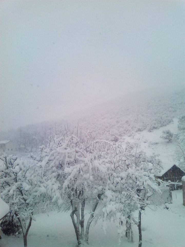 Parashikimi i motit, harrojeni diellin, nisin shirat dhe reshjet e borës