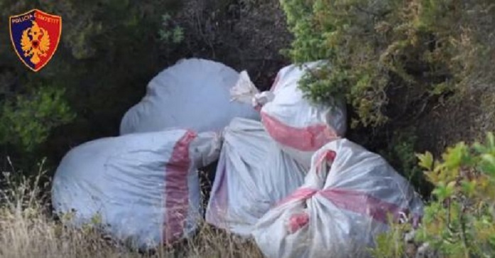 Kapen 335 kg marijuanë, në pranga 3 persona (VIDEO)