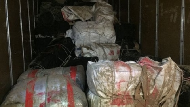 1.5 ton marijuanë në kamion. Si kaloi në portin e Durrësit?