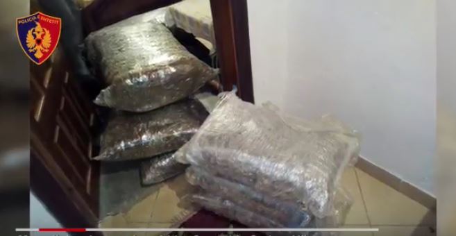 Sekuestrohen 64 kg kanabis në banesën e 50-vjeçarit