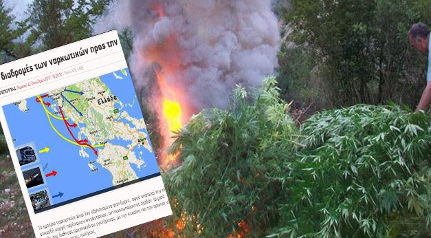 Greqia vë alarmin: Shqipëria bazë për drogat e forta, prodhuesja më e madhe e kanabisit në Europë