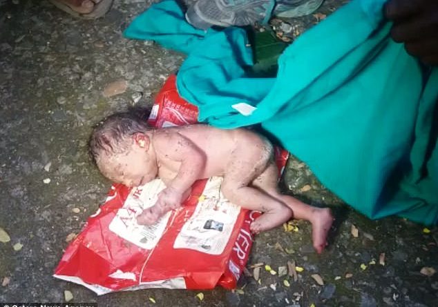 Foshnja gjendet e mbuluar nga milingonat