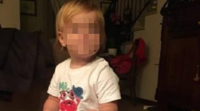 U sulmua nga qentë pitbull, flet gjyshi i vogëlushes së vrarë