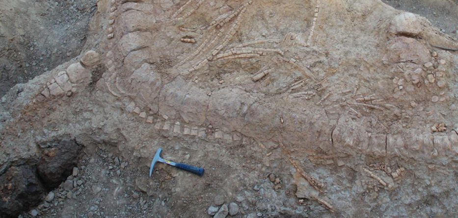 Zbulohet “përbindëshi i detit”