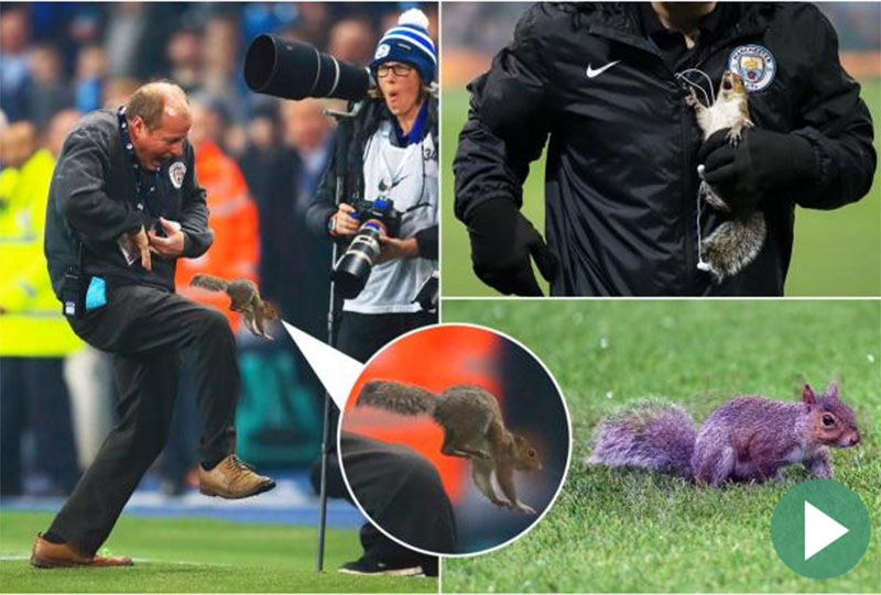 Manchester City-Wolves, ketri pushton fushën në &#8220;Etihad&#8221;