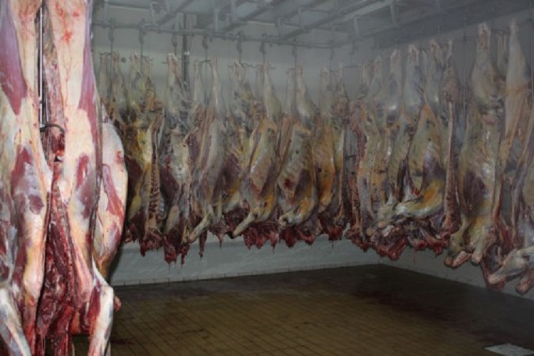 Konfiskime mishi e peshku, AKU bllokon disa subjekte