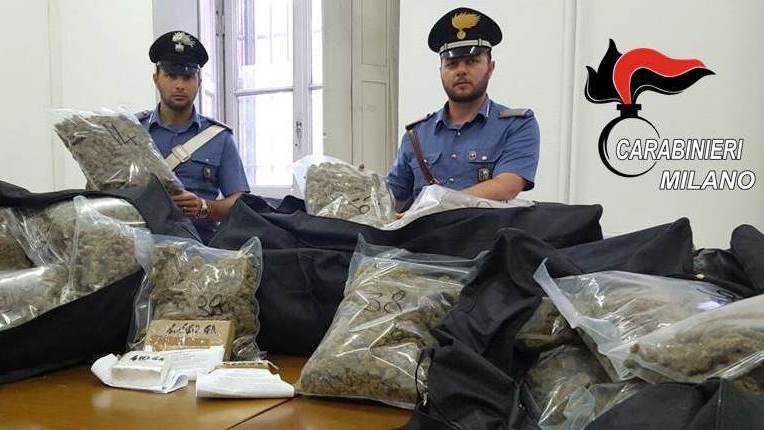 Kapen me 160 kg marijuanë, arrestohen dy shqiptarë në Itali