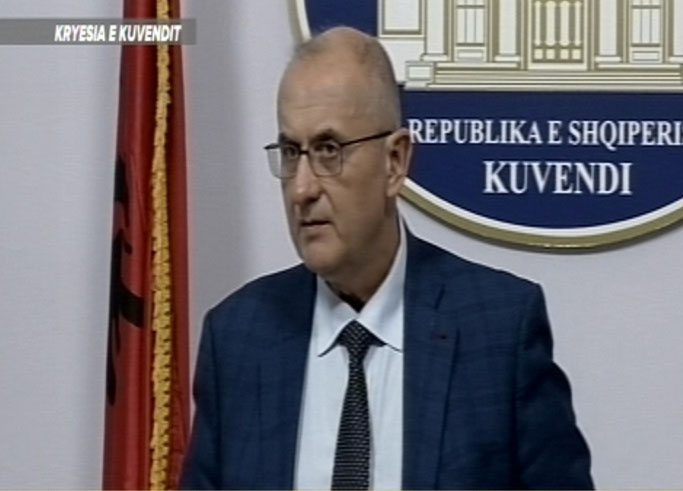 Vasili: Investimet me koncesion janë lajm i zi për ekonominë