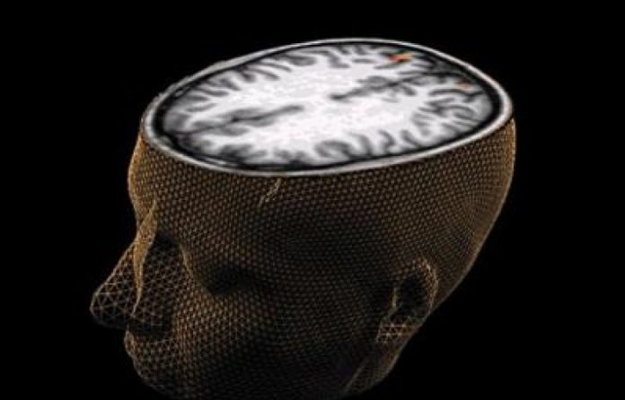 Përse ëndërrojmë? Teoria e kujtesës…