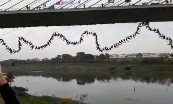 E frikshme, 245 njerëz hidhen nga ura njëkohësisht (VIDEO)