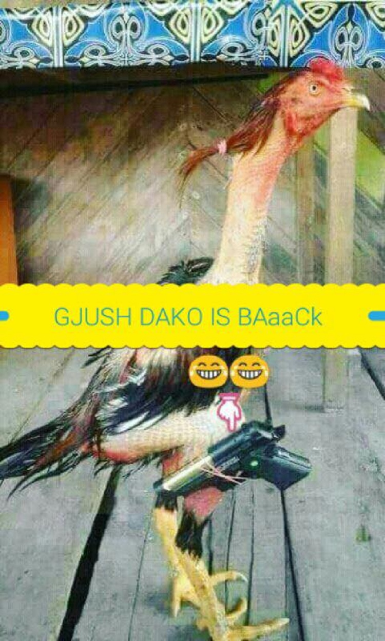 “Shumë shpejt hapet dosja, Vangjush Dakos do t’i bien të gjitha puplat”