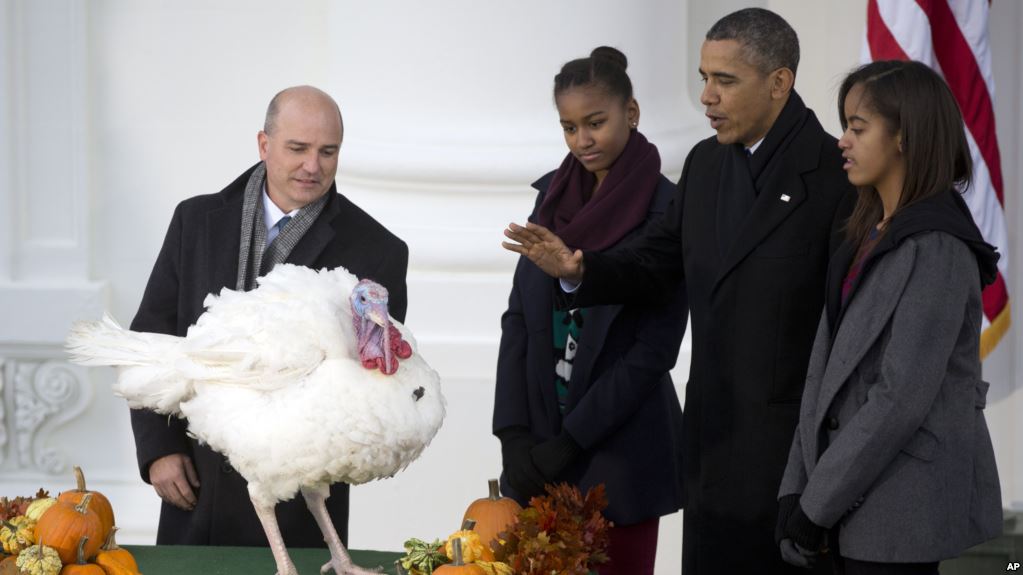 Historia e “faljes” së gjelit të detit nga presidentët amerikanë