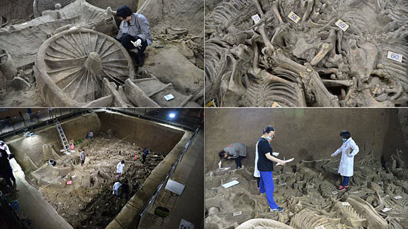 Zbulohet varri masiv mijëravjeçar (FOTO)