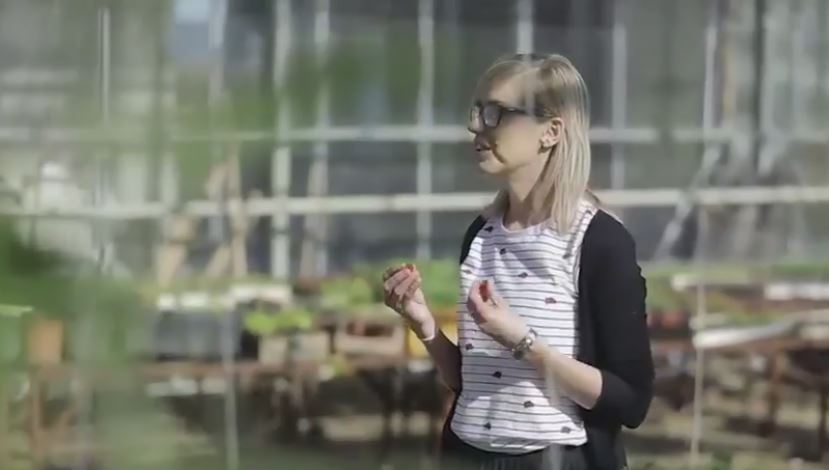 Videoja e vajzës që realizoi ëndrrën dhe ngriti biznes. Rama: Puna s’pritet në kafe