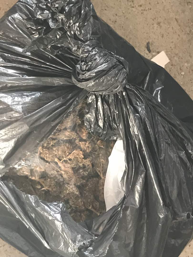 Arrestohen 3 të rinj, u kapën me drogë dhe armë (FOTO)