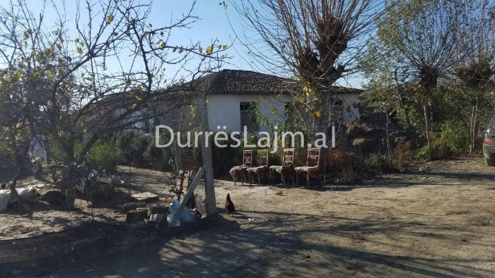 Masakroi gruan me thikë, autori përlotet në gjyq: Nuk e di ç’kam bërë