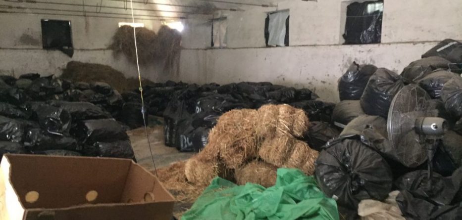 Kapet administratori i depos ku u gjetën rreth 12 tonë drogë