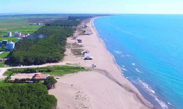 Tjetërsuan tokat në Spille/ Gjykata jep masën e sigurisë për 9 zyrtarë