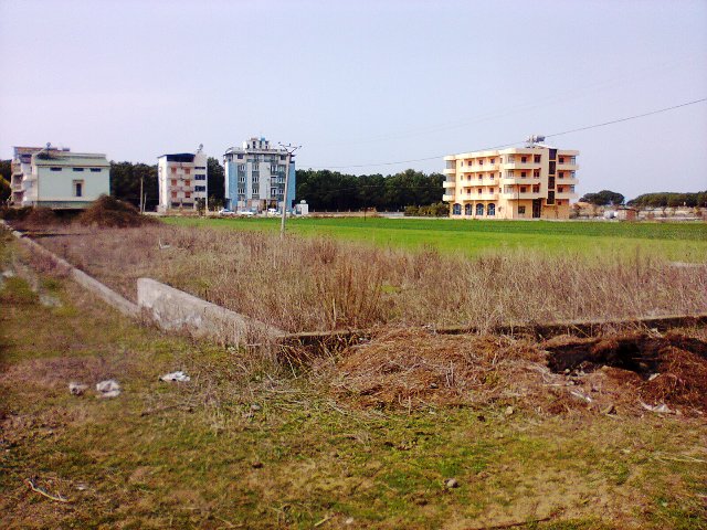 Skandali me tokat/ Pendohet vjehrri i kreut të PS në Kavajë, gati të japë detajet