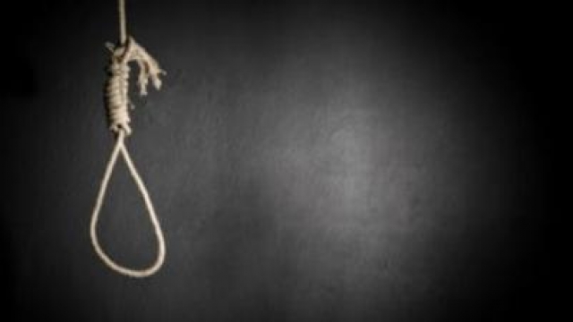 23-vjeçari u vetëvar në pemë, familja zbulon shkakun e dhimbshëm