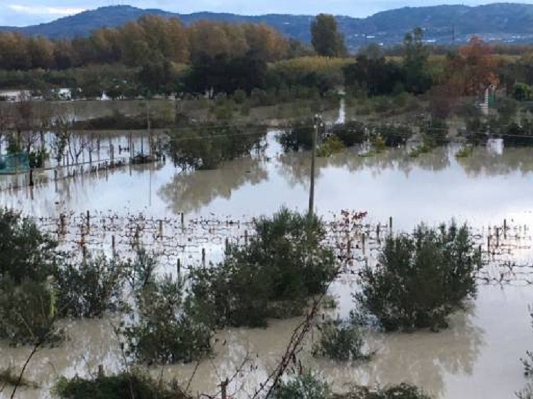 Denoncimi: Prej orësh vëllai i zhdukur në Vlorë