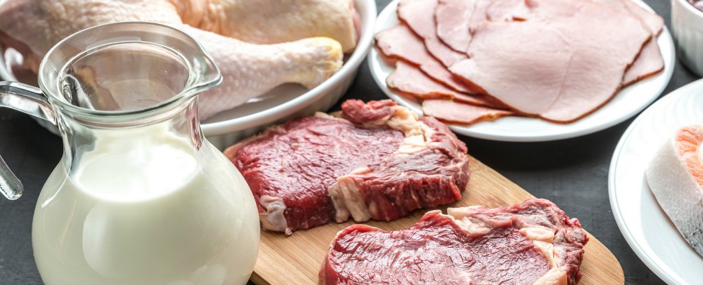 Alarm/ Shqiptarët po hanë mish me ngjyrues, gjalpë me vaj palme dhe …