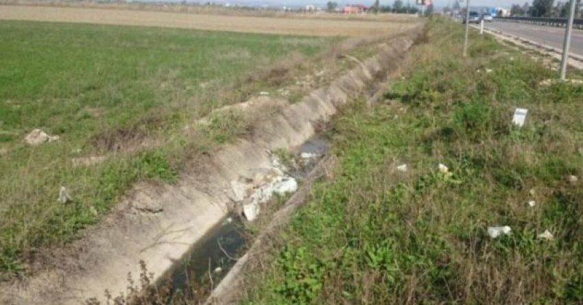 I moshuari gjendet i vdekur në kanal