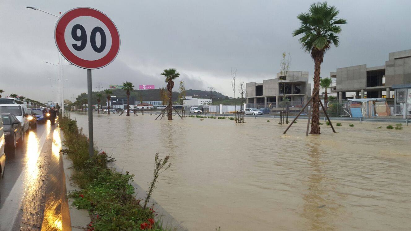 Përse nuk e thotë kush që autostrada u përmbyt prapë nga palmat?