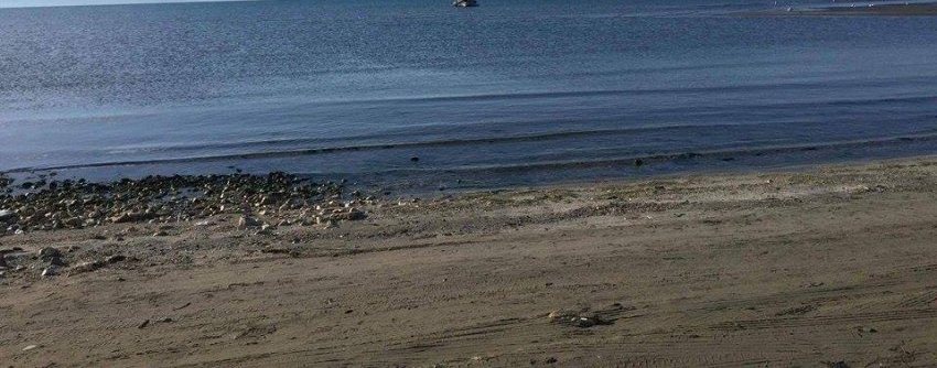 Durrës, rrymat nxjerrin në bregdet pakon plot me drogë