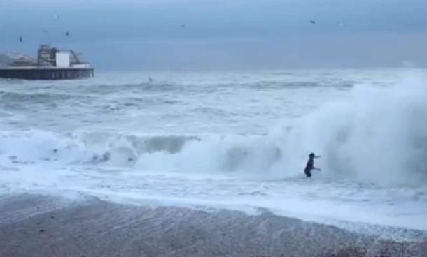 Gruaja futet në detin e tërbuar për të shpëtuar qenin, ndodh mrekullia! (VIDEO)