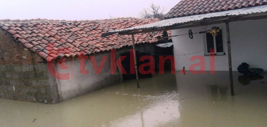 Po pastronte shtëpinë nga përmbytjet, banori pickohet nga gjarpri