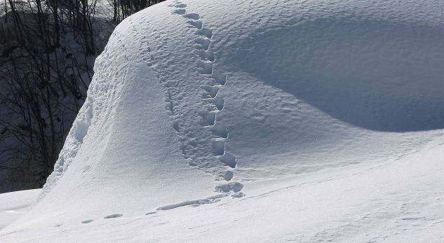 Shkojnë për ski, por orteku u merr jetën