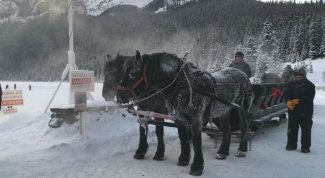 Kanadaja përfshihet nga një valë e të ftohtit ekstrem