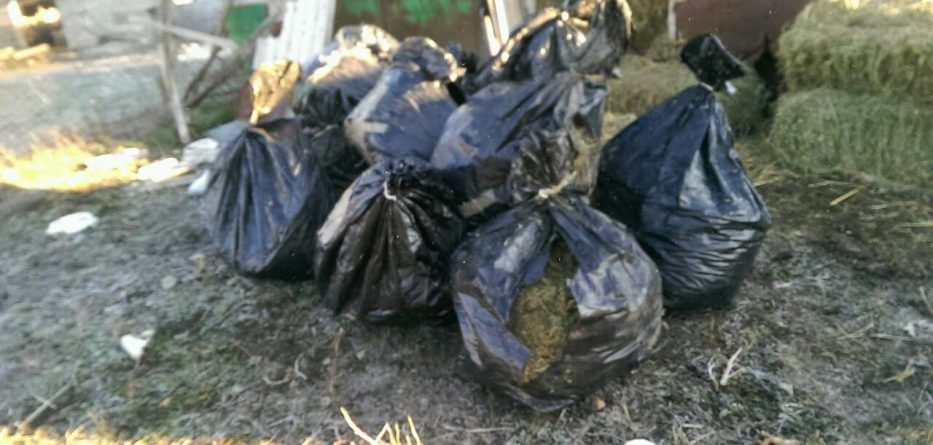 Arrestohet 60-vjeçari, kishte fshehur 281 kg drogë në …