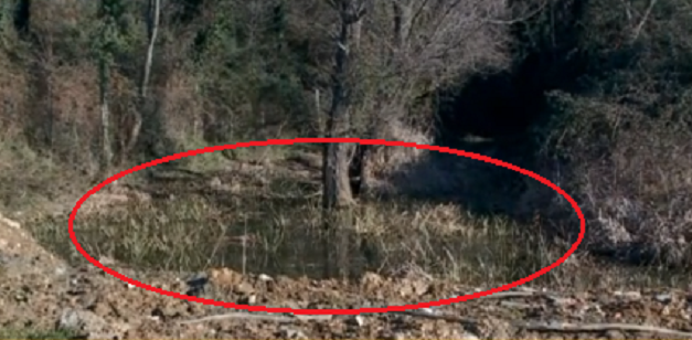 FOTO/ Vendi ku djali hodhi trupin e pajetë të babait, si i ngatërroi qëllimisht policët