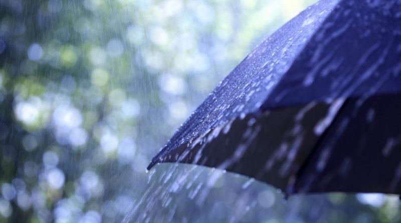 Reshje shiu dhe rritje temperaturash, parashikimi i motit për sot