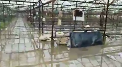 Monitorimi nga Partia Demokratike, si paraqitet situata e përmbytjeve