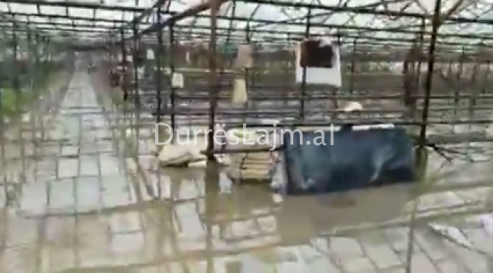 Serat nën ujë në Durrës, fermerët dëme të konsiderueshme (VIDEO)
