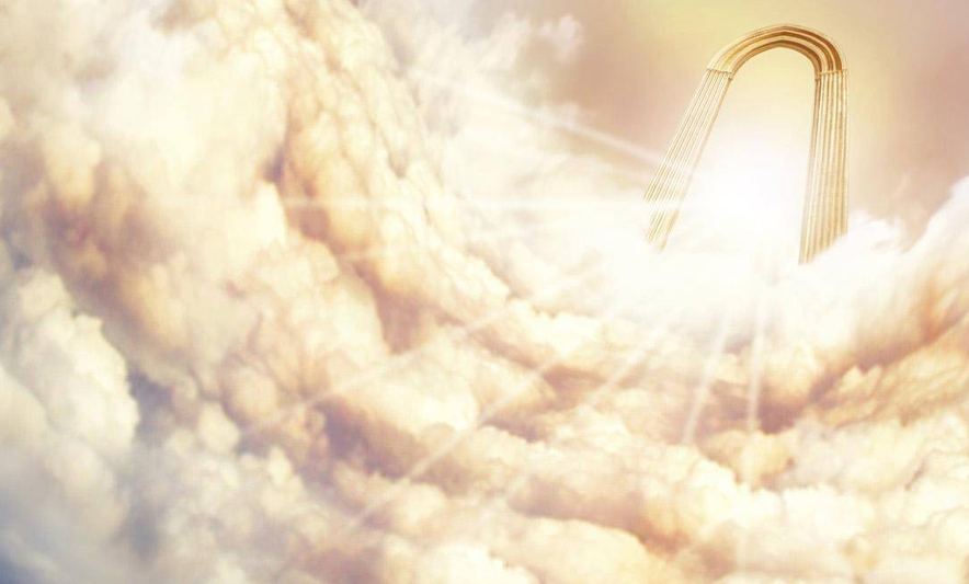 Çfarë ndodh kur vdesim? Na e tregon një neurokirurg!