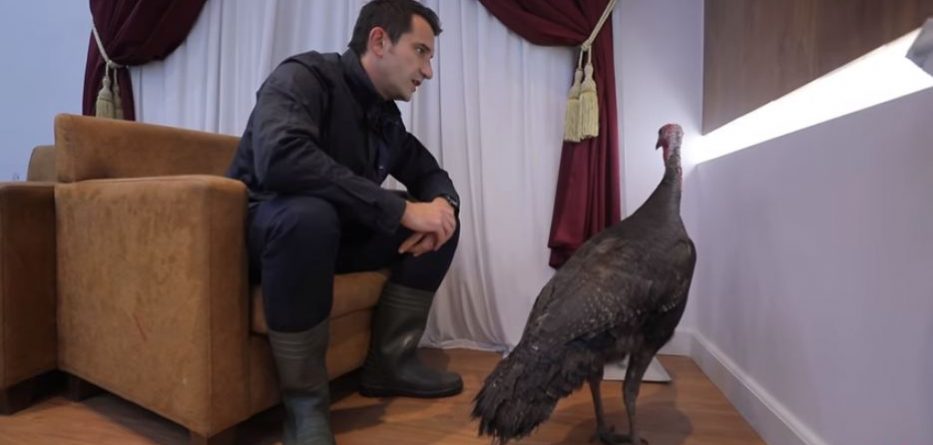 Erion Veliaj me çizme e gjela deti në emision (FOTO)