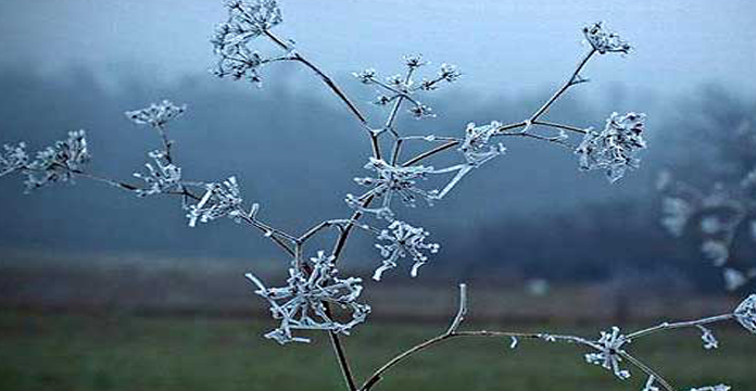 Si parashikohet moti për ditën e sotme