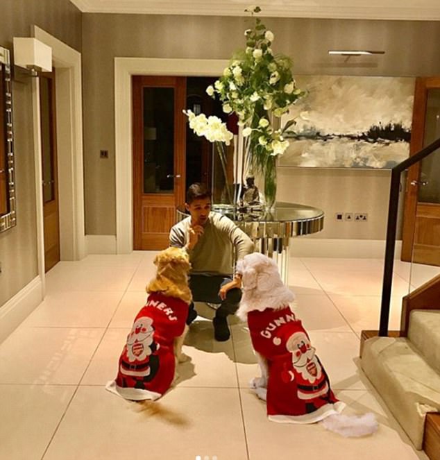 Alexis Sanchez, edhe qentë e tij i bën “Djaj të Kuq”