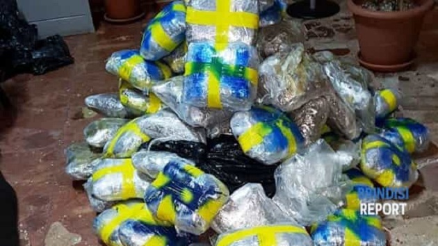 Sekuestrohet 1 kuintal marijuanë prodhim shqiptar