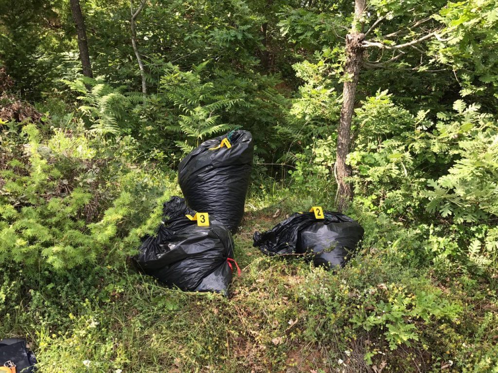 Fshehu 697 kg drogë në pyll, arrestohet poseduesi