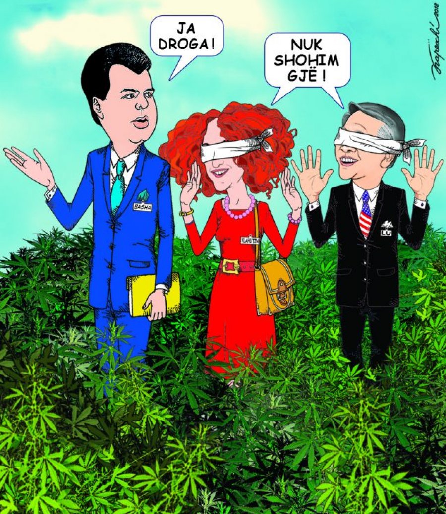 “Ja droga. Nuk shohim gjë”, Bujar Kapexhiu ironizon Lu dhe Vlahutin