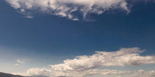 Parashikimi i motit 31 janar 2018