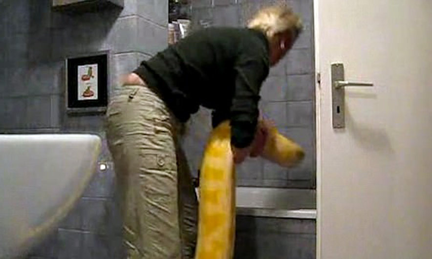 VIDEO/ Të lash pitonin në vaskë. Do guxonit?