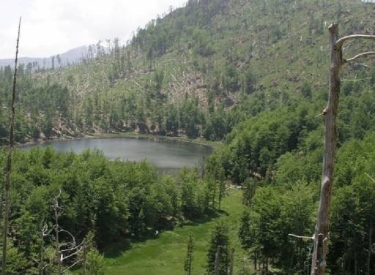 Shkaktoi dëme të mëdha, kallëzohet penalisht kryeinspektori Altin Kazazi